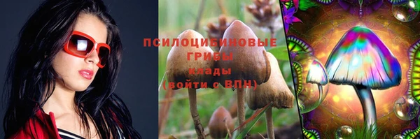 сатива Горняк