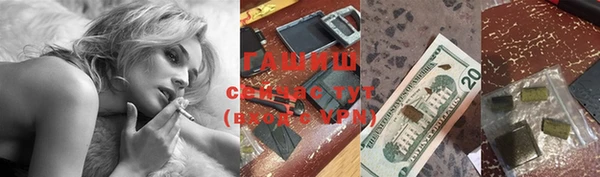 сатива Горняк
