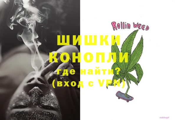 сатива Горняк