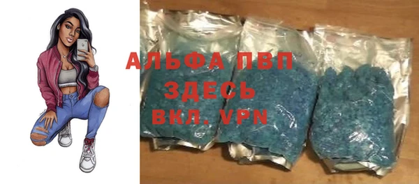 сатива Горнозаводск