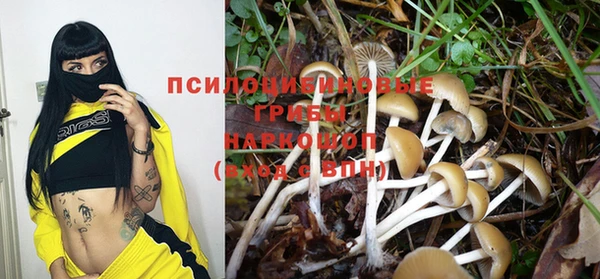 сатива Горнозаводск