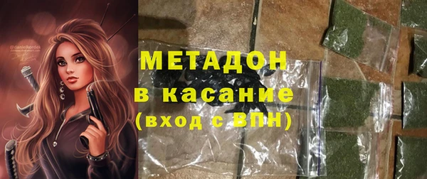 сатива Горняк