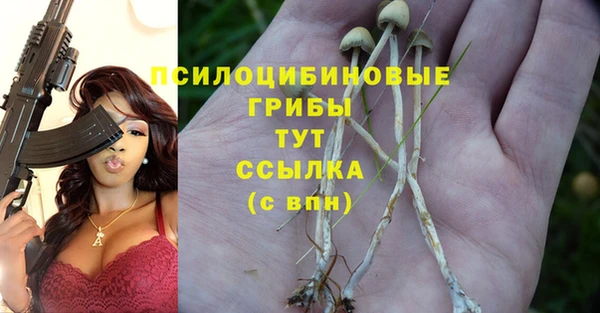 2c-b Гусиноозёрск