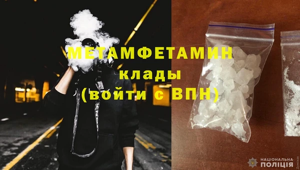 сатива Горняк