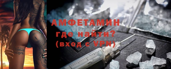 сатива Горняк