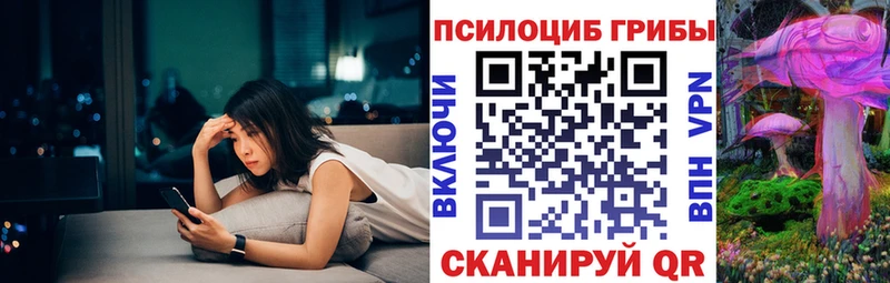 как найти закладки  Западная Двина  Галлюциногенные грибы Cubensis 