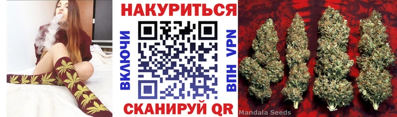 как найти   OMG как зайти  Шишки марихуана сатива  Западная Двина 
